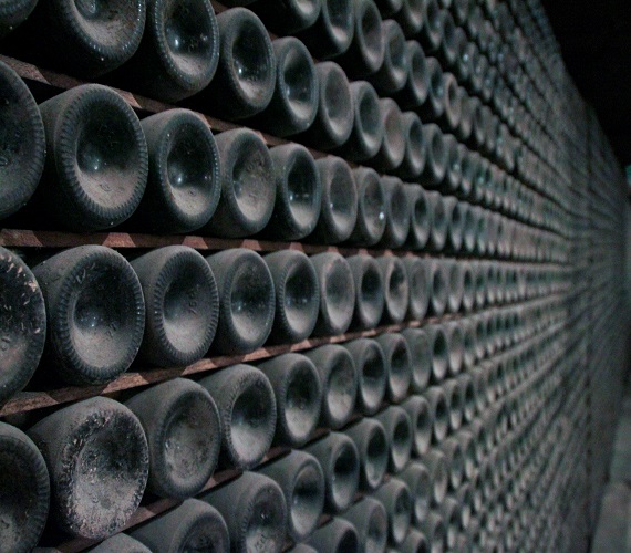 Video: Anselmo Mendes 2013 Pardusco (Portugal)