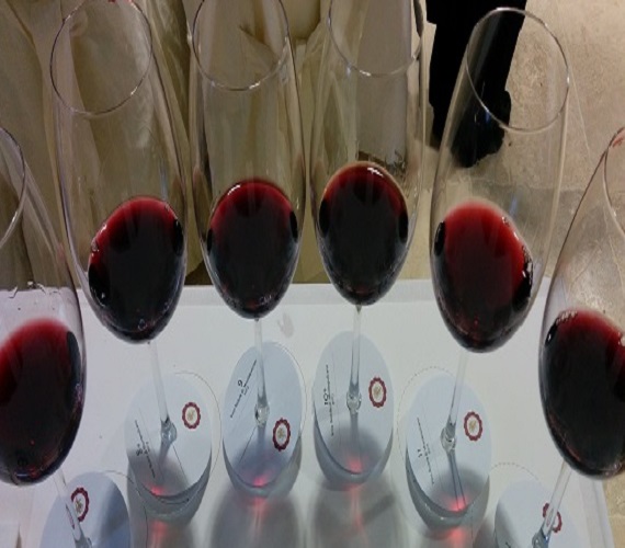 Report from: Profile Portfolio Tasting