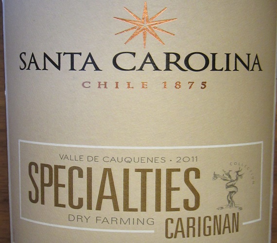 Video Review: Santa Carolina 2011 Carignan (Chile)
