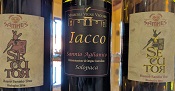 Masseria Wines