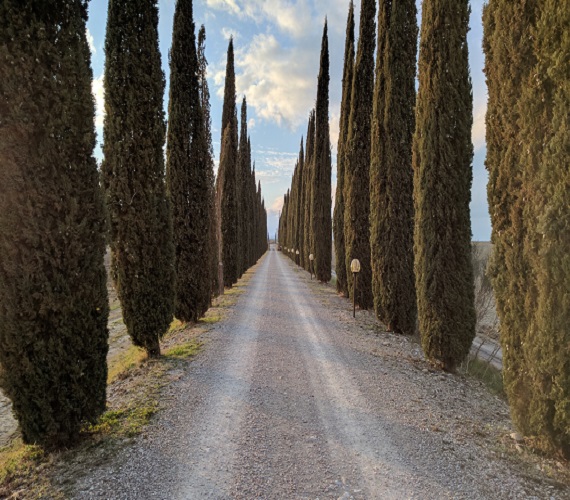 Piccini Visit and Wines Reviewed