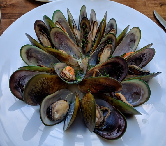 New Zealand – Marlborough