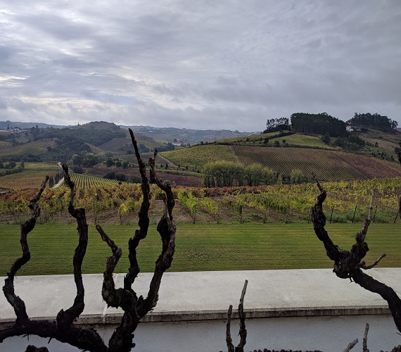 Wines of Lisbon (Lisboa) Portugal – Day 3 & 4