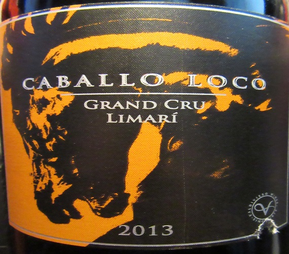 Video Review : Valdivieso 2013 Caballo Loco Grand Cru Limari (Chile)