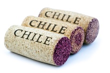 Chilean Corks
