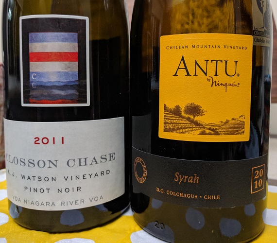 Antu 2010 Syrah (Chile)