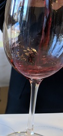 Nobile 2019 c