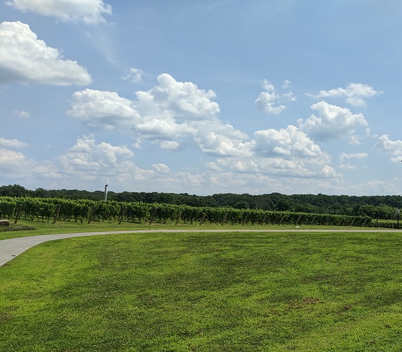 Report from : New York & Ohio Winery Visits