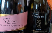 Trius Bruts