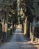 Biondi Drive
