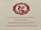 Nobile Logo