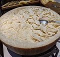 Parmesan