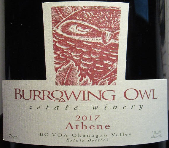 Video Review : Burrowing Owl 2017 Athene (British Columbia, Canada)