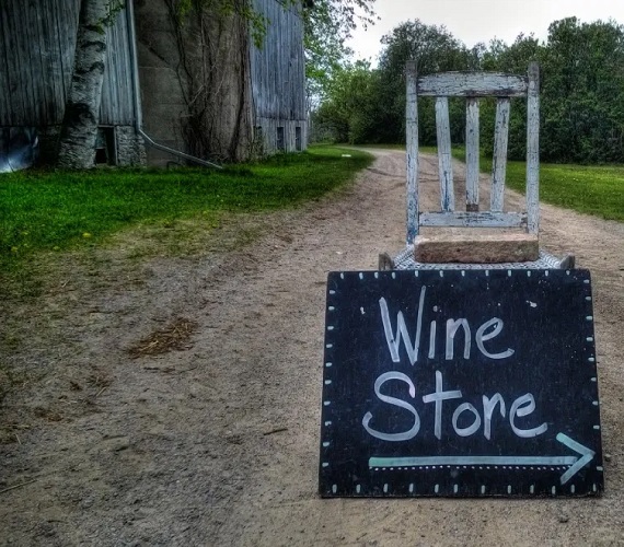 Ontario Wine Reviews: 44 more Wines from 20 Wineries – Fall 2020 (Part 2)