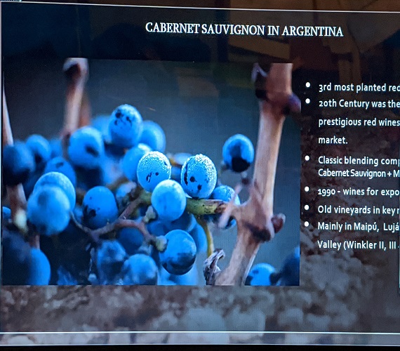 Trapiche Wines : A Closer Look at Cabernet Sauvignon
