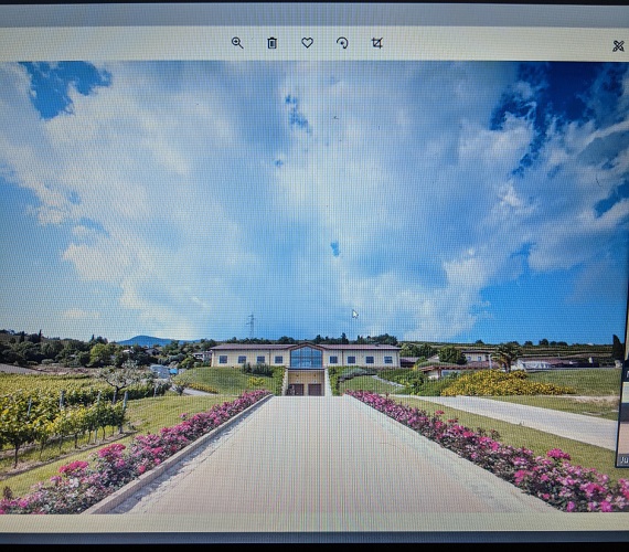 The Monte Zovo Tasting on Zoom