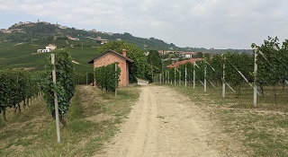 Riserva Rocche 2012