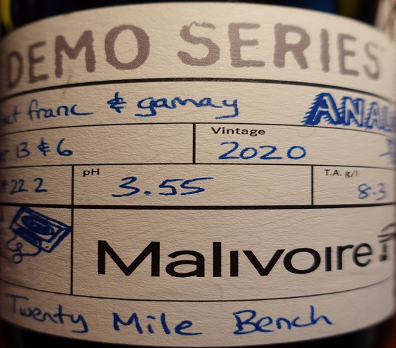 Video Review : Malivoire 2020 Demo Series Analog