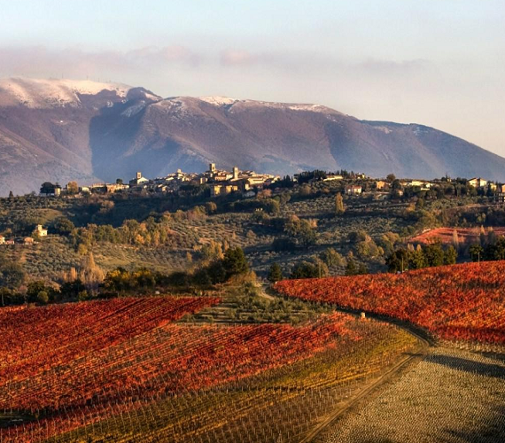 Anteprima Sagrantino: Montefalco Rosso Riserva