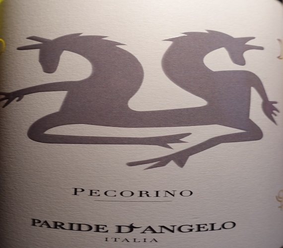 Video Review : Paride D’Angelo 2020 Pecorino Colline Pescaresi (Abruzzo, Italy)