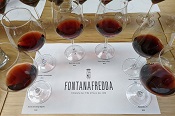 Glasses of Fredda