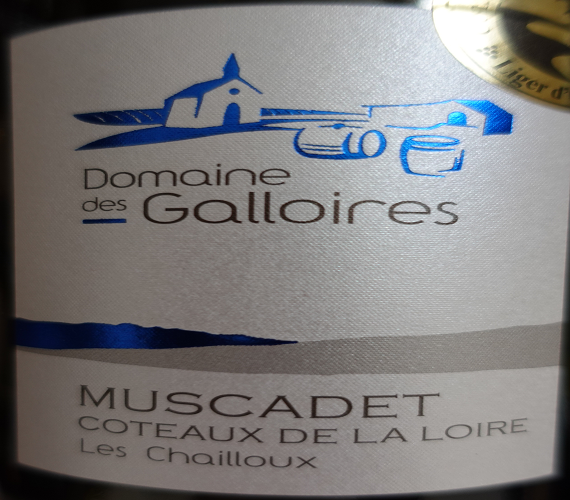 Video Review : Domaine des Galloires 2021 Les Chailloux (Loire, France)