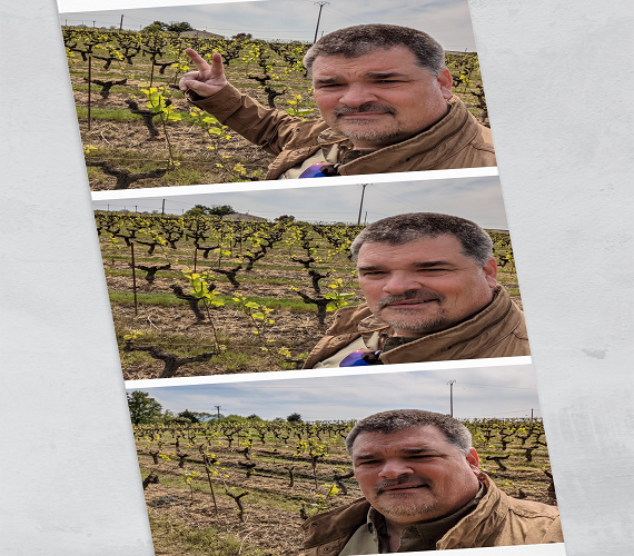 Tripping Through the Vineyards of Ancenis (Loire)