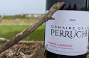 Perruche