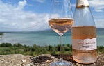 Sparkling Gamay