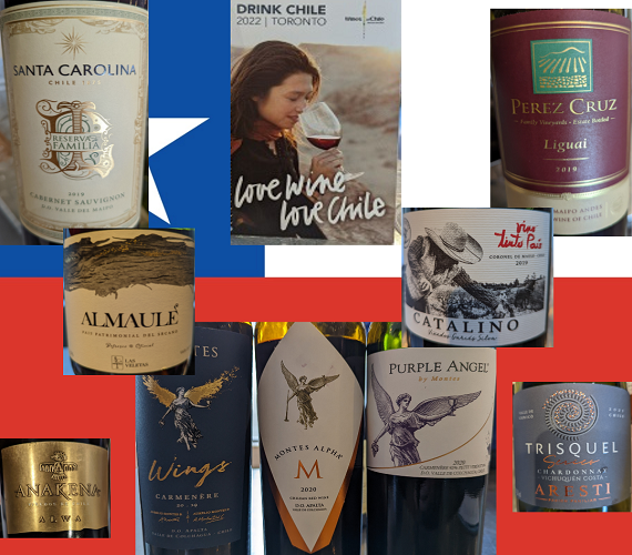 Chilean Tasting – in the Media Room