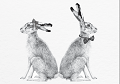 Splitting Hares