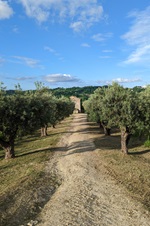 Down the Road