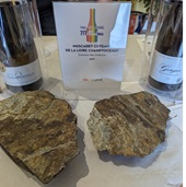 Muscadet Rocks