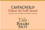 CL Poggio Salvi