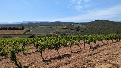 Roussillon R 2 small