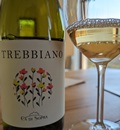 CdS Trebbiano
