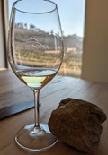 CdS Trebbiano and Soil