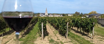 Saumur Franc middle 2