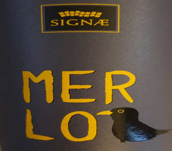 Video Review : Cesarini Sartori 2019 Merlo (Italy)