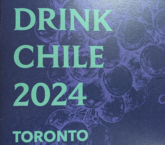 Chilean Wine Tasting 2024
