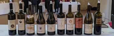Montefalco Tannins B