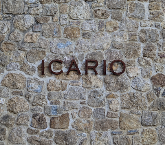 Visit to Icario Winery