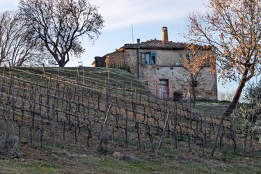 Icaraio 20a