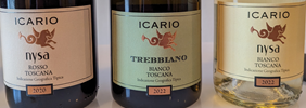 Icaraio 25a