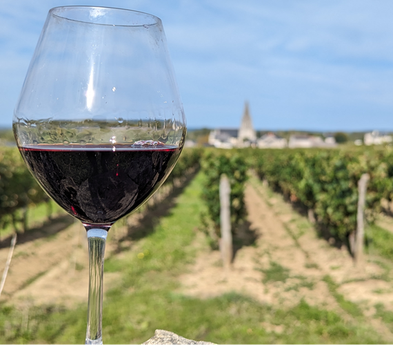 Loire Valley: Vineyard, Grape and Sales Presentation