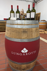 FalcoWinery 3a