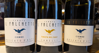 Falchetto 2