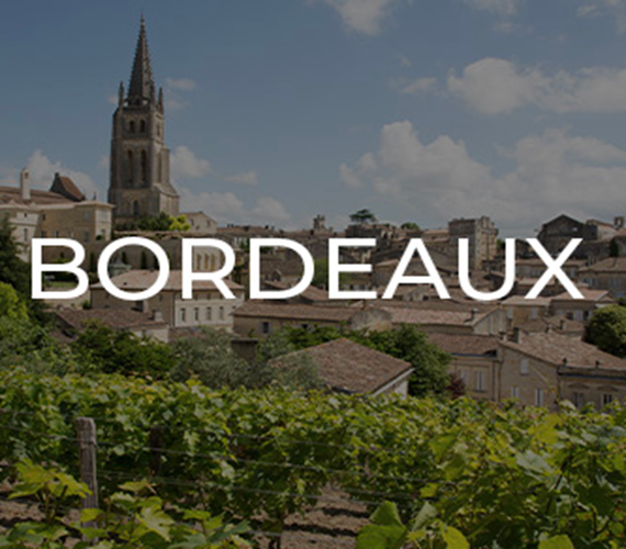 Bordeaux 2025 : The Tasting at OenoConseil Consulting