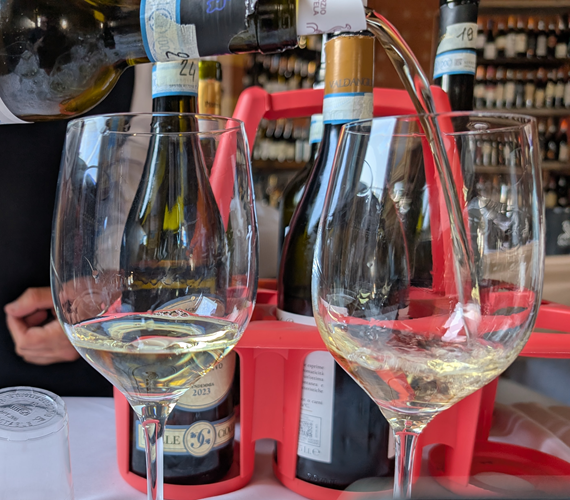 Montefalco Trebbiano Spoletino (2025 Tasting)