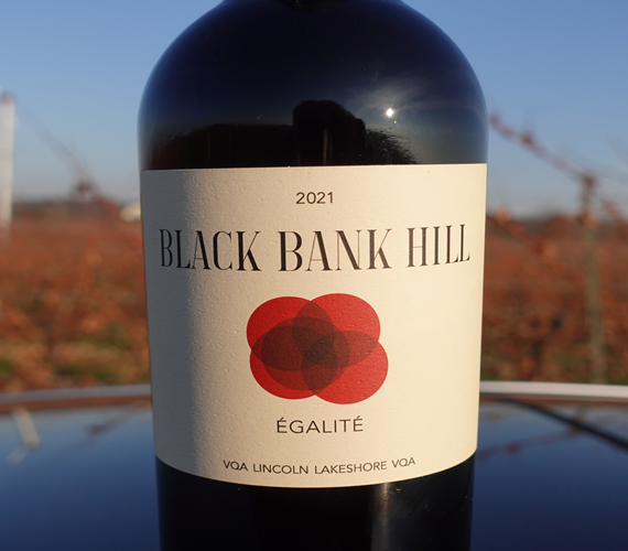 Video Review – Black Bank Hill 2021 Egalite (Ontario)